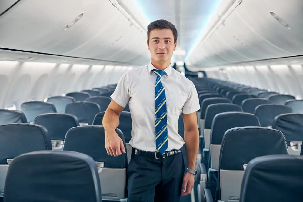 Fly 2
